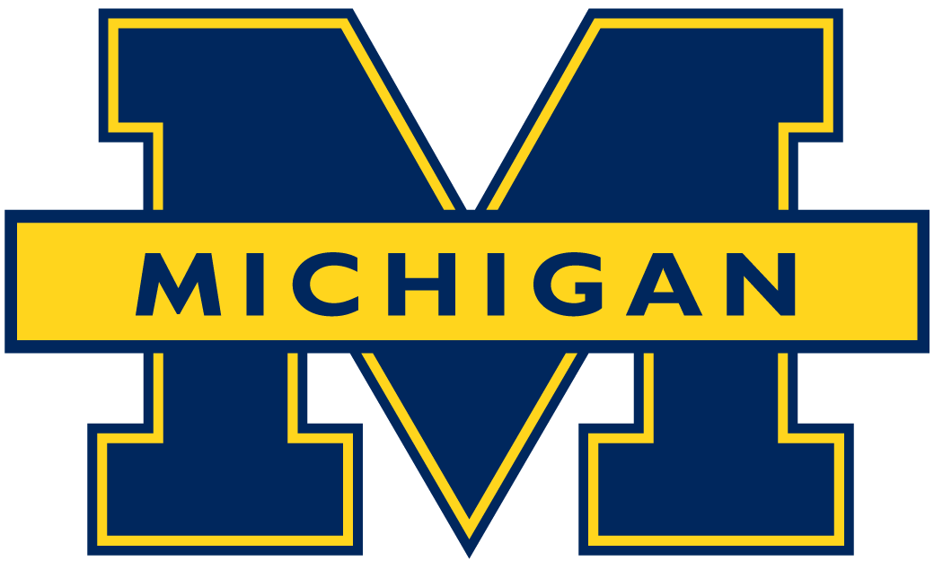 Michigan Wolverines 1996-2011 Primary Logo diy DTF decal sticker